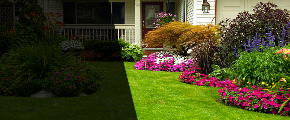 Salisbury Landscapers