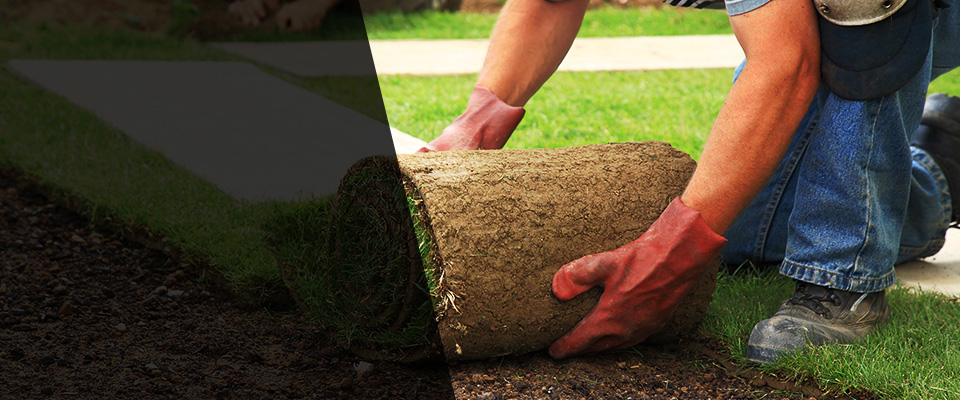 Salisbury Landscapers